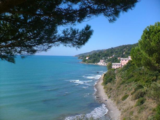 Bellissima Costa che si Fonde Con La Natura