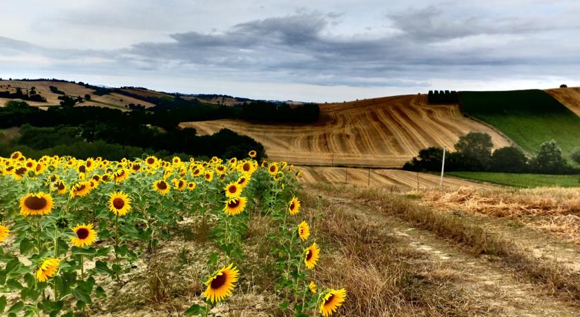 Vista sulla campagna marchigiana 