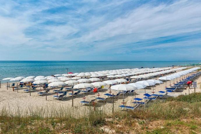 Lido privato con ombrelloni, lettini e sdraio
