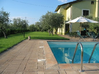 Piscina negli ulivi con vista panoramica