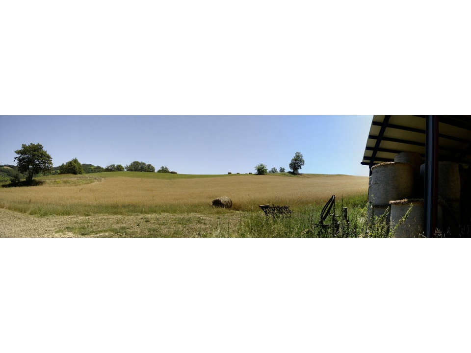 Panorama