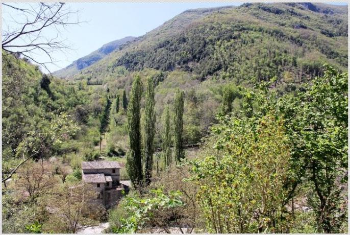 B&B immerso nel verde in Valnerina