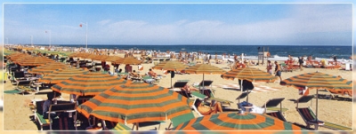 Beach equipped with deckchairs and parasols