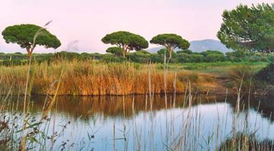 Vacanza Last minute a prezzi bassi in Toscana