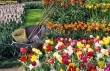 giardinaggio, offerte e preventivi in Umbria