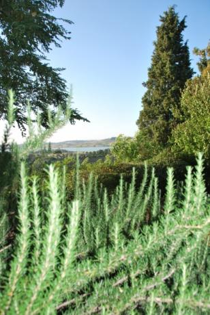 Vista dall'agriturismo