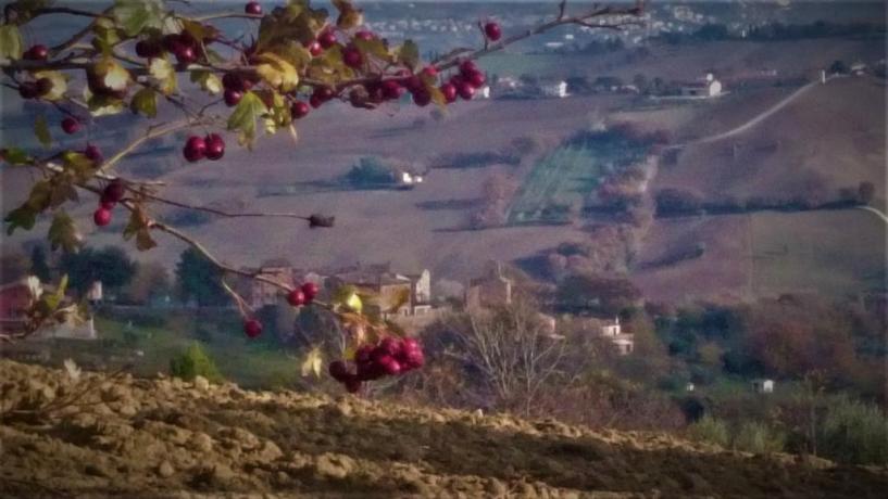 Paesaggio dintorni 