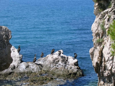 hotels near: Nature Reserve in Miramare