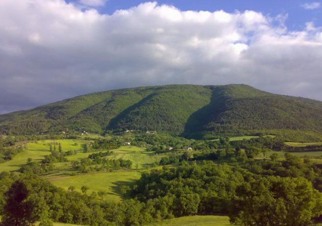 Agriturismo con Appartamenti e Piscina ad Assisi 