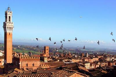 The Best Holiday deal in Siena, Tuscany