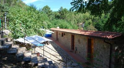 Agriturismo in Toscana con appartamenti e piscina 