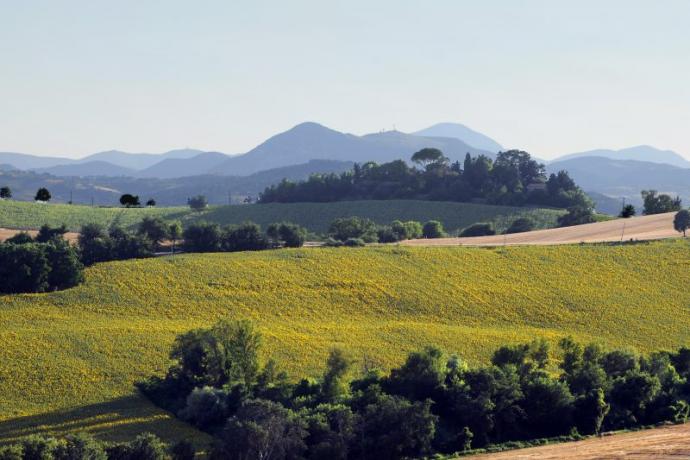 paesaggio agriturismo Marche Jesi casale campagna