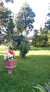 Vendita prodotti dell'azienda agraria