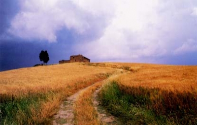 Toscana Alloggi in campagna vicino Firenze - B&B