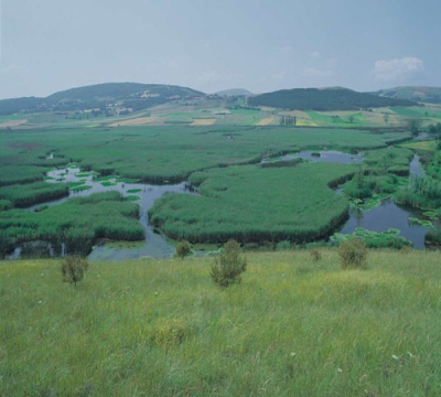 parco-di-colfiorito-palude-foligno-wwf