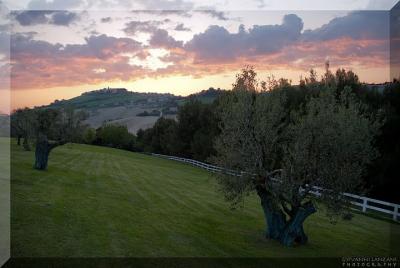 Agritourisms in the Countryside of Marche Region