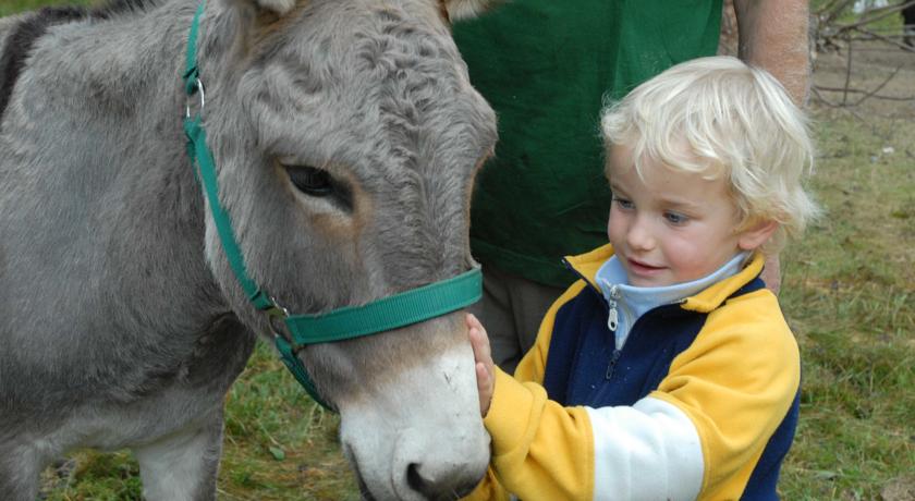 Cavalcate e passeggiate in famiglia 