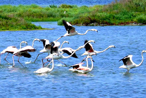 Natural oasis in the regional park of Veneto