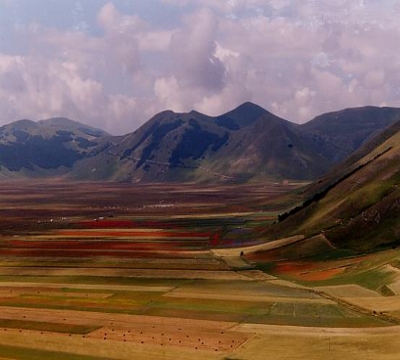 La fioritura a Castelluccio 