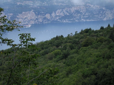 Castels and Residences on Lake Garda