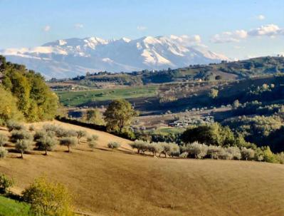Alberghi, Baite e Cottage in Posizione panoramica