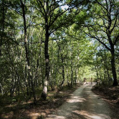 Vacanze Umbria Natura e Relax coppie e famiglie