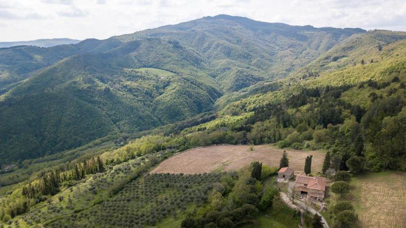 Azienda-Agrituristica a Val di Sieve con Piscina 