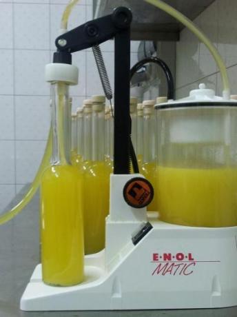 Produzione di limoncello biologico
