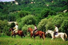 Ospitare il vostro cavallo presso l´agriturismo 