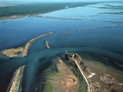 The national park of the Po Delta, Veneto