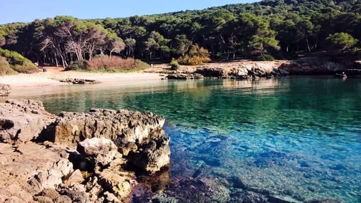 Villaggio nel Salento vicino Gallipoli: Mare-Cristallino 