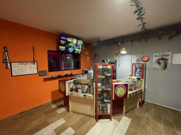 Cannabis Social Club a Las Palmas