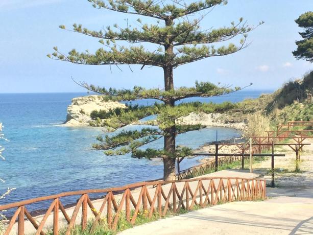 mare del cilento vicino al B&B Il Relax