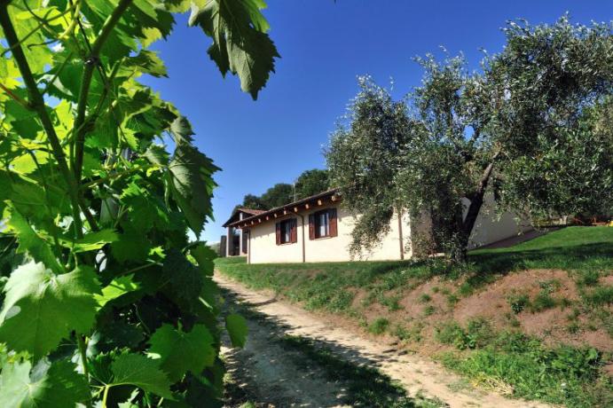 Vista del casale, appartamento tra vigneto, Montebuono 