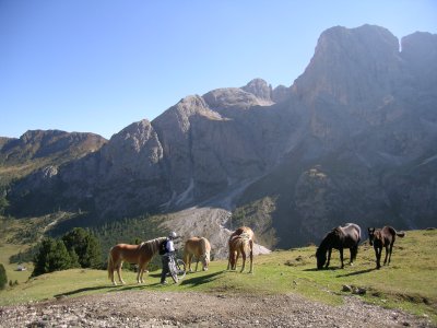 One with Nature near the National Park 