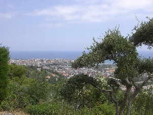 Holiday-Apartments in Liguria