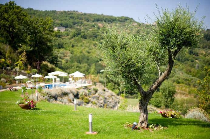 Residence immerso nel verde del cilento 