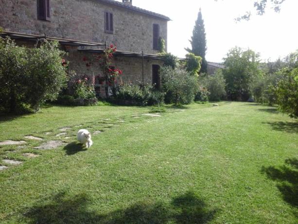 Campagna senese Casa Vacanze 10 persone