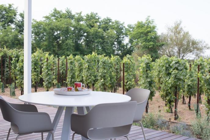 Tavolo esterno vigneto appartamento-vacanza moderno Lipari