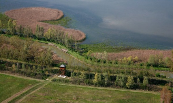 Le zone umide, bellezza ed importanza