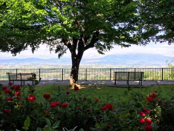 Terrazza panoramica vista Assisi 