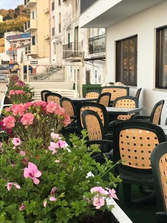 hotelfrontemare-rodigarganico-animazione-puglia-vicinoalmare-perfamiglie