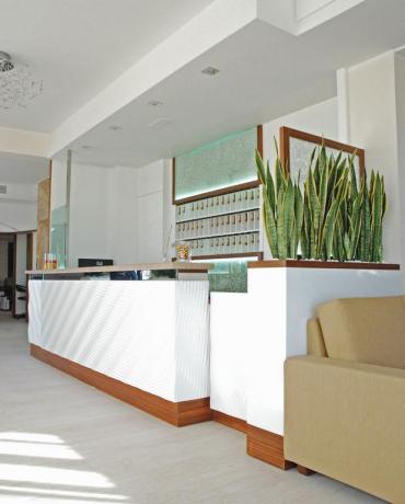 Reception Hotel Vicino Mirabilandia