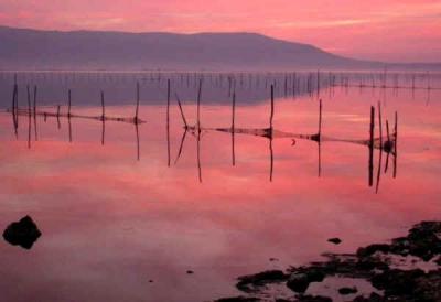 Visita l´Isola di Varano e Carpino, Foggia
