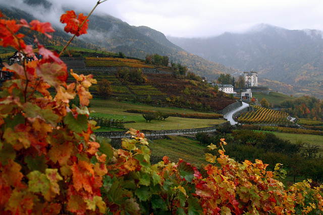 Hotel ideale per visitare vigneti Barolo Barbaresco 