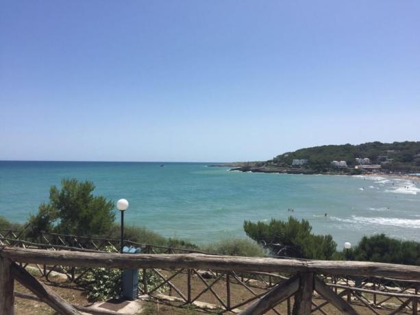 Prenotazioni escursioni in barca nel Gargano