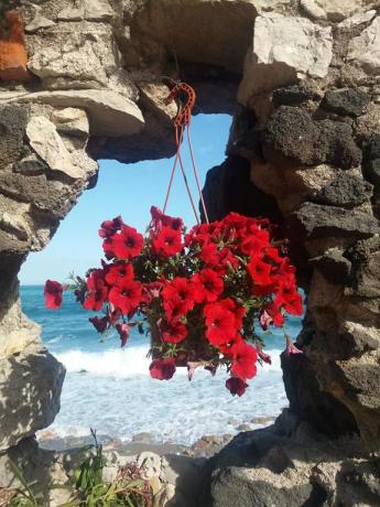Residence a Villagonia con Spiaggia Privata Attrezzata