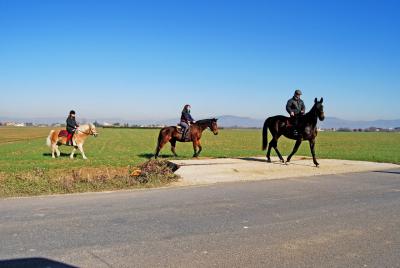 passeggiate a cavallo esterne per assisi