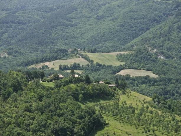 Agriturismo nel verde del Parco Monte Subasio 