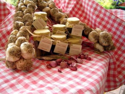 Red Garlic, tipical local product in Sulmona